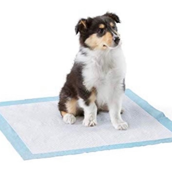 30 count pee pads and 7 count xs doggie diapers.